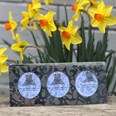 Paisley Pewter Triple Picture Frame