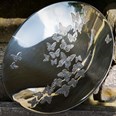 Butterfly Bowl