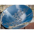 Butterfly Bowl