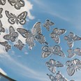 Butterfly Bowl