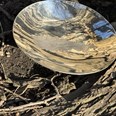 Paisley Pewter Bowl