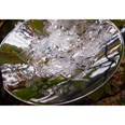 Tree Of Life Tree Bowl