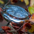 Tree Of Life Tree Pewter Trinket Box