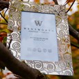 Tree Of Life 6"X4" Pewter Picture Frame