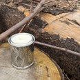 Leaf Pewter Candle Votive