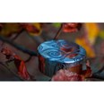 Small Tree Of Life Pewter Trinket Pill Box