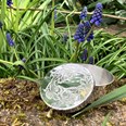 Acanthus Pattern Small Pewter Trinket Pill Box
