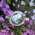 4" Celtic Silver Plated Quaich