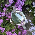 4" Celtic Silver Plated Quaich