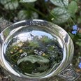 6 inch Celtic Silver Plated Quaich