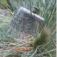 Triquetra 4oz Pewter Pocket Flask