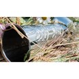 Knox Pewter Flower Vase