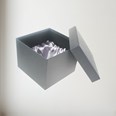 Half Pint Presentation Box Half Pint presentation Box open