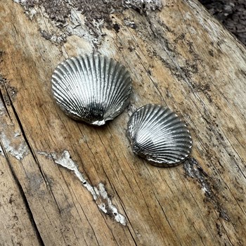 Cast Pewter Small Cockle Shell Ornament