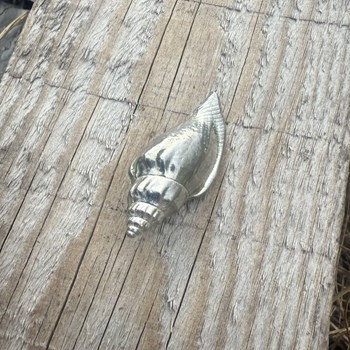 Cast Medium Sea Snail Ornament
