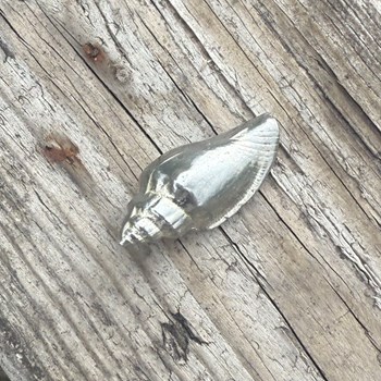 Cast Medium Sea Snail Ornament Cast Medium Sea Snail Ornament
