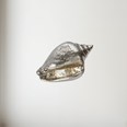 Cast Pewter Large Sea Snail Ornament