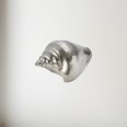 Cast Pewter Large Sea Snail Ornament Cast Pewter Large Sea Snail Ornament