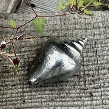Cast Pewter Large Sea Snail Ornament Cast Pewter Large Sea Snail Ornament