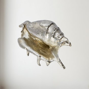 Cast Pewter Spider Conch Shell Ornament Cast Pewter Spider Conch Shell Ornament