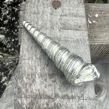 Cast Pewter Long Spiral Shell Ornament Cast Pewter Long Spiral Shell Ornament