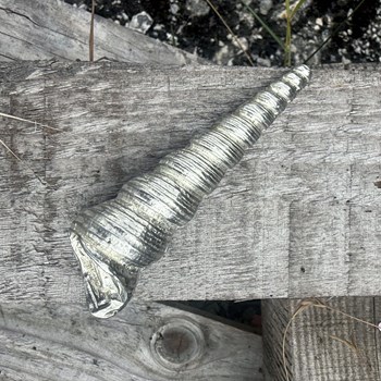 Cast Pewter Long Spiral Shell Ornament Cast Pewter Long Spiral Shell Ornament