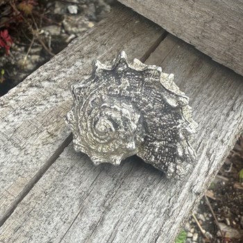Cast Pewter Spikey Shell Ornament Cast Pewter Spikey Shell Ornament