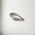 Cast Pewter Mussel Shell Ornament Cast Pewter Mussel Shell Ornament