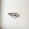 Cast Medium Spiral Shell Ornament