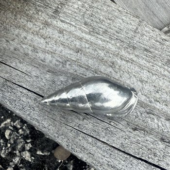 Cast Medium Spiral Shell Ornament Cast Medium Spiral Shell Ornament