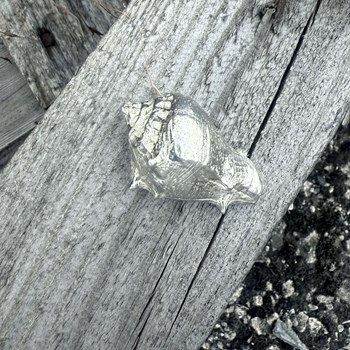 Cast Pewter Spikey Sea Snail Ornament Cast Pewter Spikey Sea Snail Ornament