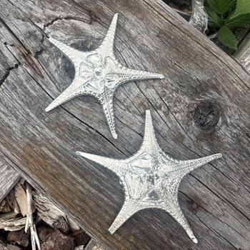Cast Pewter Small Fancy Starfish Ornament
