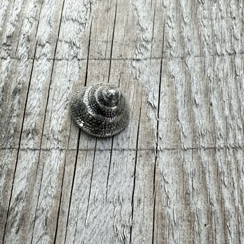 Cast Pewter Periwinkle Ornament Cast Pewter Periwinkle Ornament