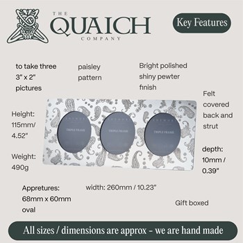Paisley Pewter Triple Picture Frame