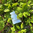 6oz Shamrock Pewter Kidney Hip Flask