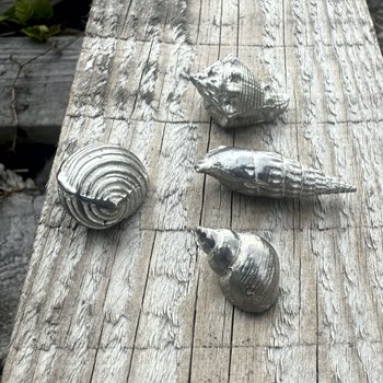 Cast Pewter Small Ceritch Shell Ornament Cast Pewter Small Ceritch Shell Ornament