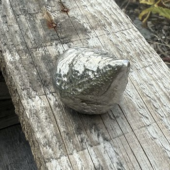 Cast Pewter Top Shell Ornament