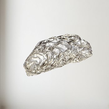 Cast Pewter Oyster Shell Back Ornament Cast Pewter Oyster Shell back ornament