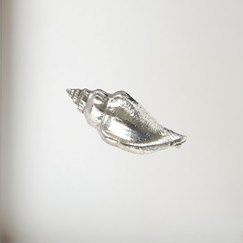 Cast Medium Sea snail ornament