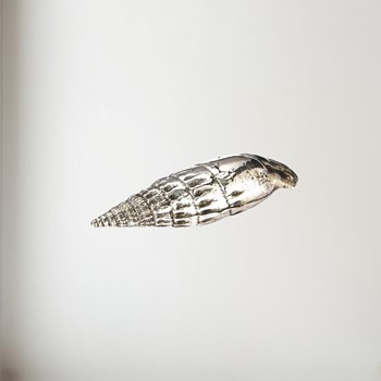 cast pewter Small Ceritch Shell ornament