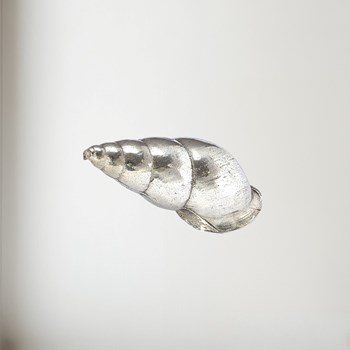 Cast Medium Spiral Shell Ornament