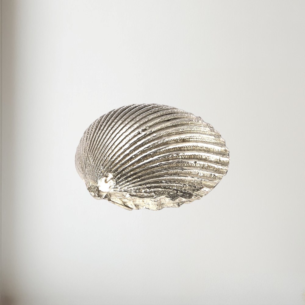 Cast Pewter Large Cockle Shell Ornament Cast Pewter Large Cockle Shell Ornament
