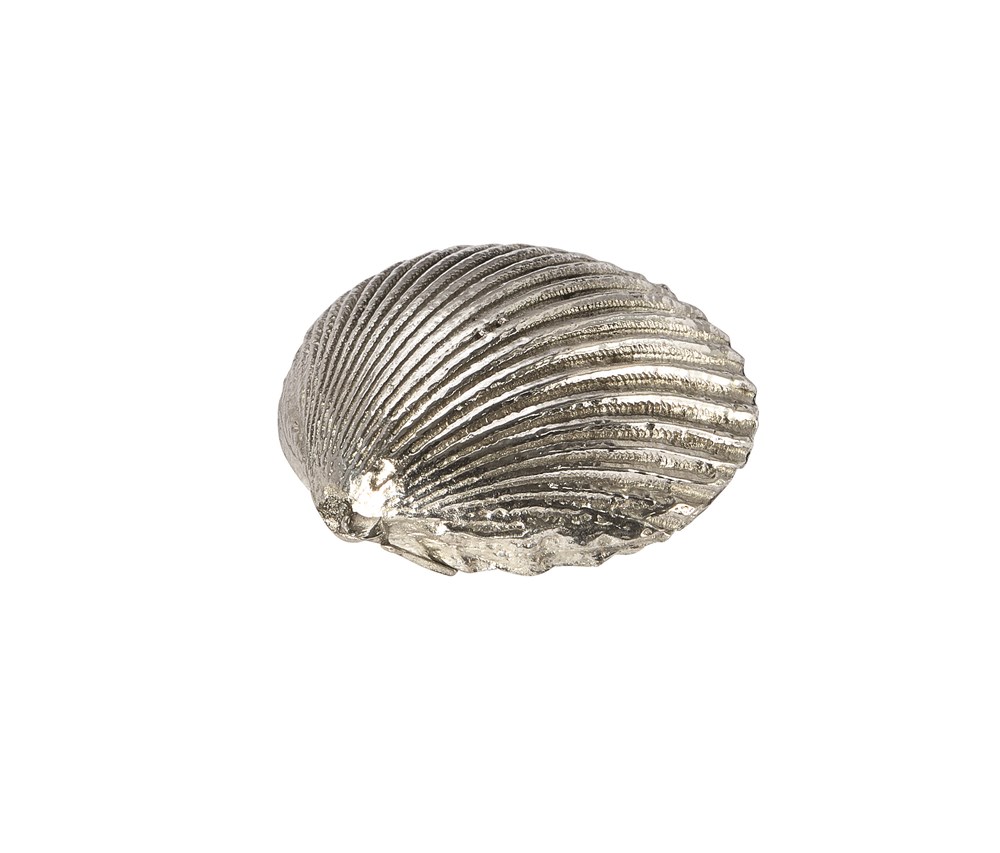 Cast Pewter Large Cockle Shell Ornament