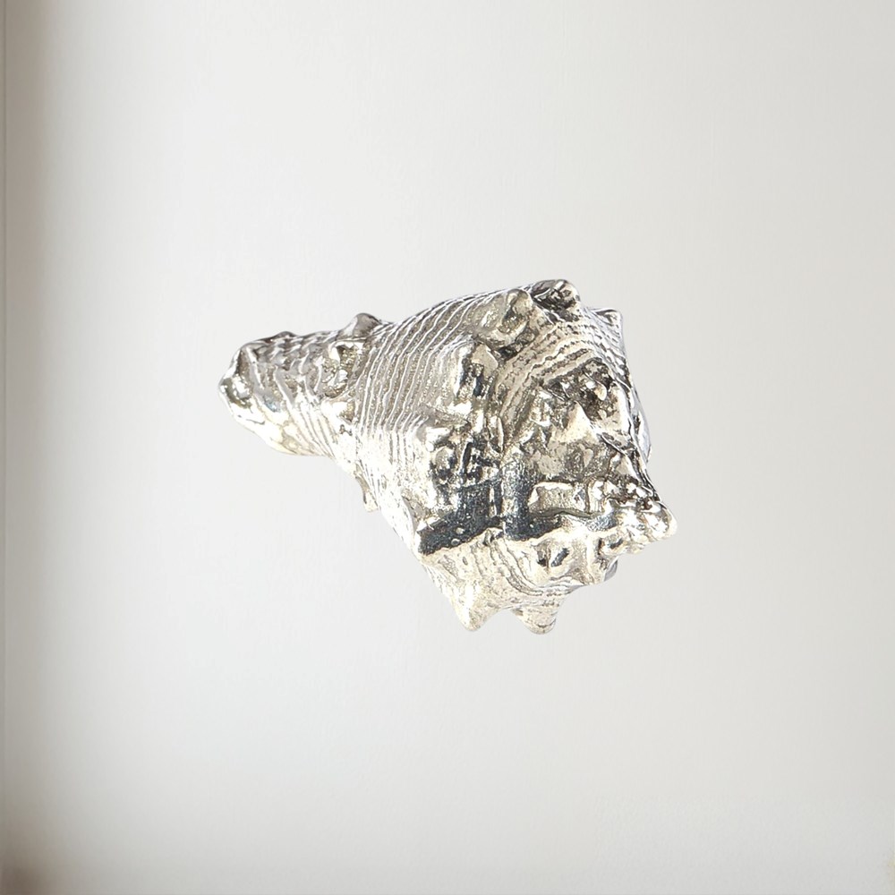 Cast Pewter Conch Shell Ornament Cast Pewter Conch Shell Ornament