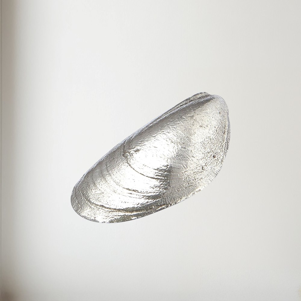 Cast Pewter Mussel Shell Ornament Cast pewter Mussel Shell ornament
