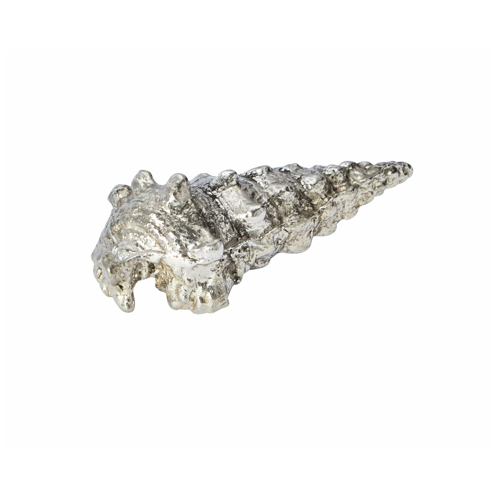 Cast Pewter Large Ceritch Shell Ornament Cast Pewter Large Ceritch Shell Ornament