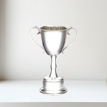 Medium Pewter Bullet Trophy