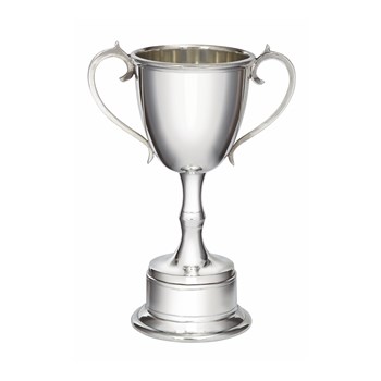 Medium Pewter Bullet Trophy