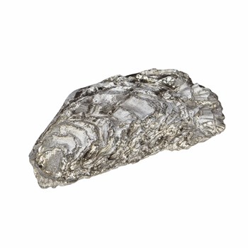 Cast Pewter Oyster Shell Back Ornament