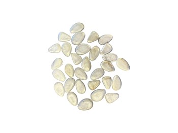 Casting Alloy Pellets 500g